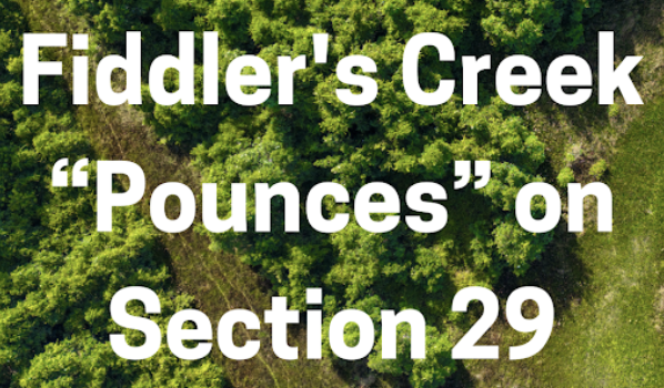 Fiddler's Creek "Pounces" on Section 29